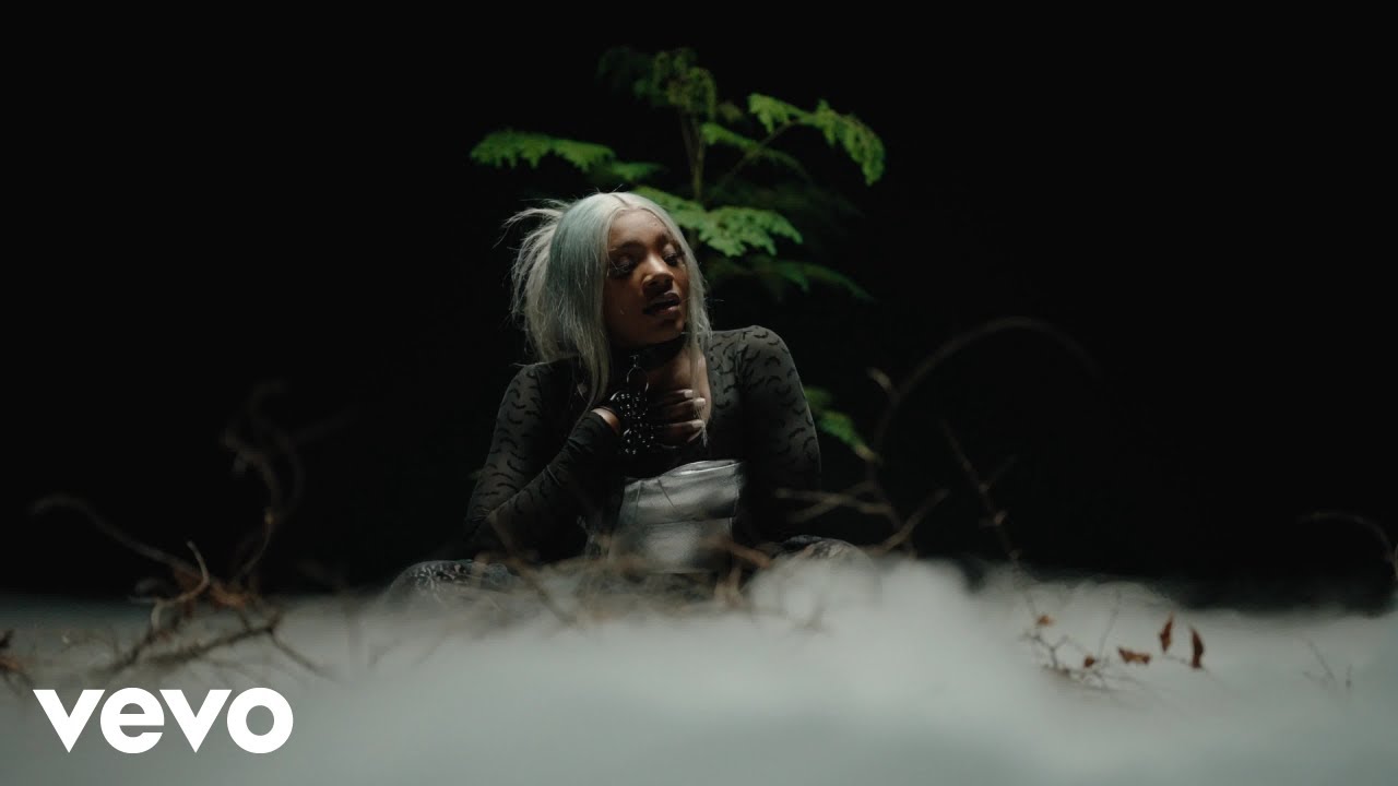Chronic Law, Nordia Mothersille – When I’m Gone (Official Music Video) is brand new, you seen it?